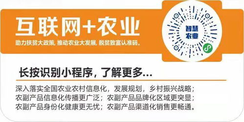 數字翅膀助農飛，互聯網+農業打通鄉村振興新銷路