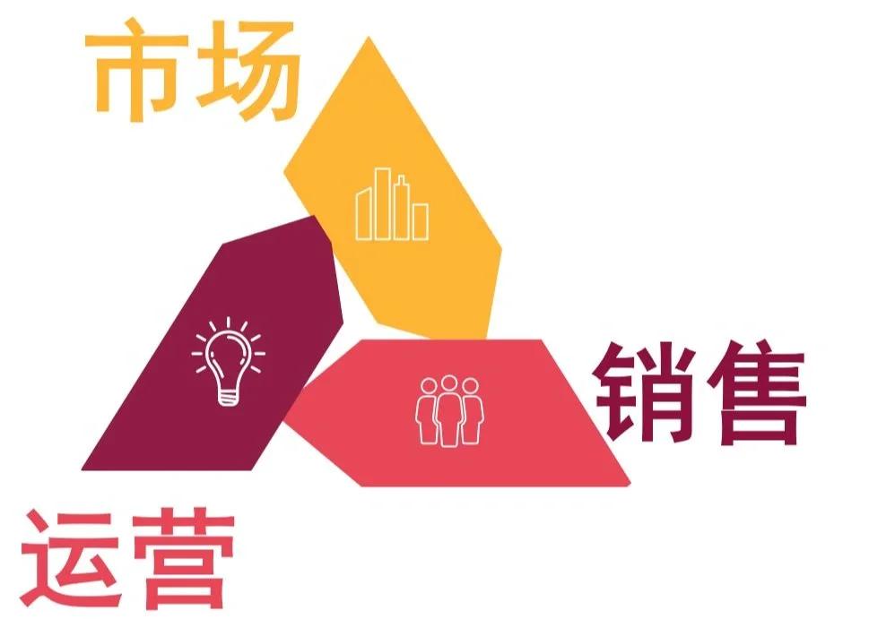 互聯(lián)網(wǎng)銷售 連接、轉(zhuǎn)化與增長的策略核心